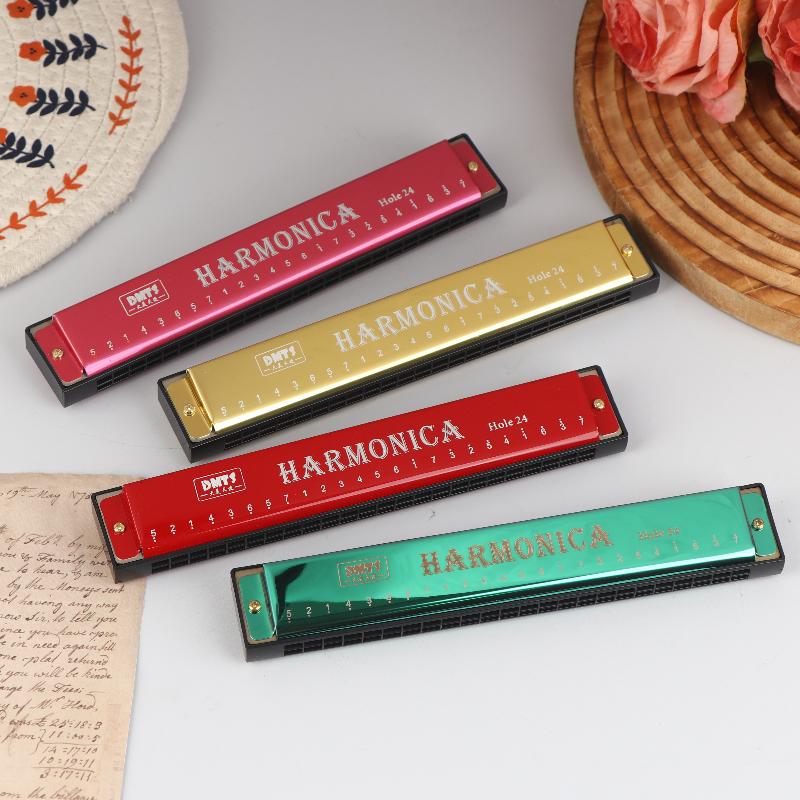 Harmonica Key Of C 24 Hole Diatonic Harmonica C With Case For Beginner Students Kids Gift Blues With Case