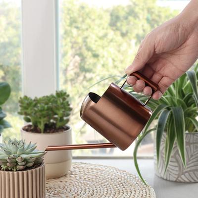 10OZ/300ML Mini Watering Can Stainless Steel Long Spout Sprinkling Pot Plants Small Watering Can Indoor Outdoor Flowers Succulents Garden Watering Pot