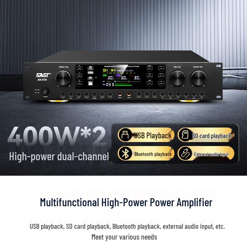 SAST Professional Conference Audio System Set CN plug (adapter included)