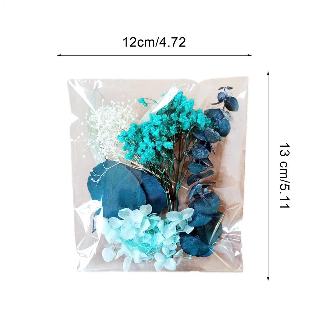 Natural Plants Dried StarrySky Flowers Preserved Materials Kit Epoxy Resin Candles Soap DIY Floral Materials Set Dried Flowers