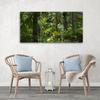 Three Piece Picture Canvas Print Forest Trees Nature