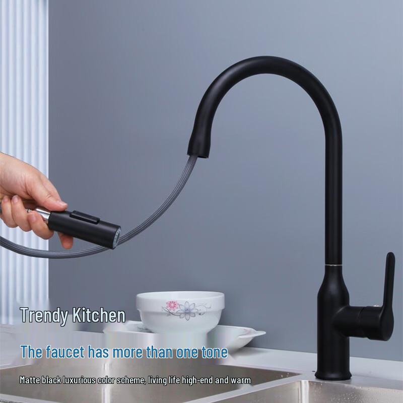 OEING Brass Pull-Out Kitchen Faucet