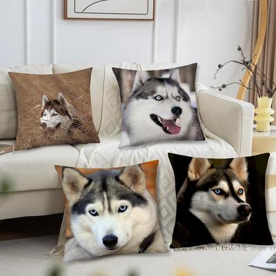 Animal Cute Siberian Husky Pillow Case Fashion Square Pillowcase Bedroom Sofa Room Ins Decoration Leisure Cushion Cover 40x40