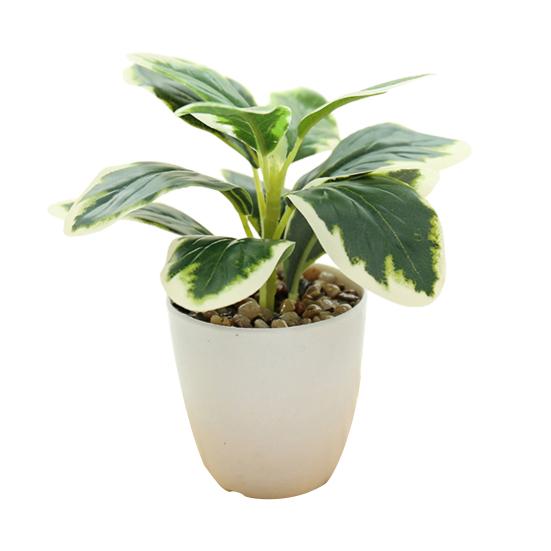 

Искусственный горшок, не выцветает, зеленый, яркий, долговечный, не увядает, имитация растения, свадебное украшение