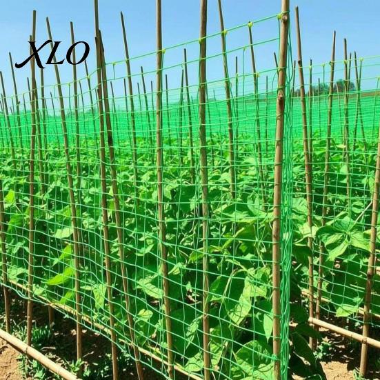Outdoor Agricultural Climbing Support Trellis Netting for Plants, Heavy Duty Plastic Garden Square Mesh Morning Glory Netting, Plant Net Cucumbers