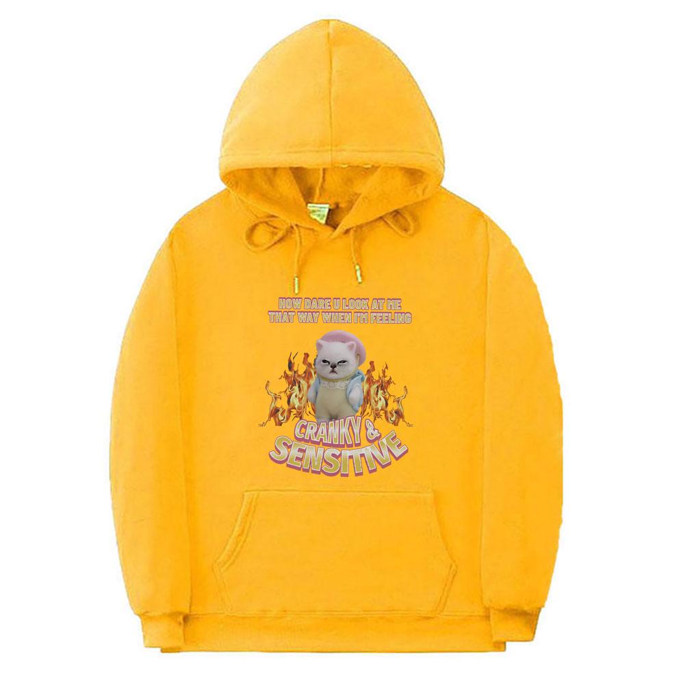 How Dare U Look At Me That Way When I'm Feeling Cranky Sensitive Kawaii Cat Funny Meme Hoodie Unisex Casual Cotton Pullover