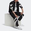 Adidas Originals Color Block Stripe Logo Zip Long Sleeve Stand Collar Sports Jacket Men Jacket Black H06752