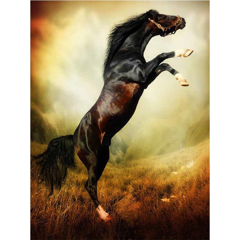 5D DIY Diamond Painting Animal Horse Kit Full Drill Round Embroidery Mosaic Art Picture of Rhinestones Home Decoration Gift