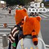 Ear protection hat autumn and winter cartoon men and women cute little raccoon wool ear protection hat winter warm plush pullover hat