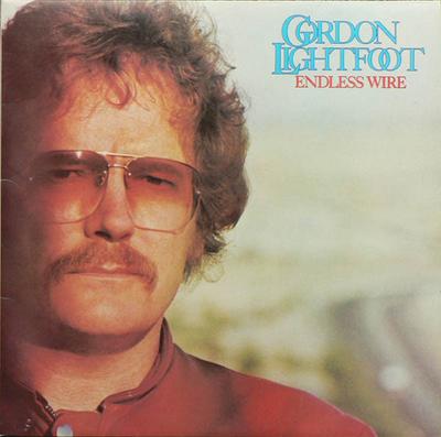 LP Record GORDON LIGHTFOOT - Endless Wire K56444 Warner Bros. Re 1978 UK Rock Used