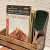 Hairbrush Wood Smoothing Detangle Dry Comb