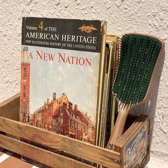 Hairbrush Wood Smoothing Detangle Dry Comb