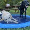 100/150/200cm Tapete de Salpicos Antiderrapante para Cães Piscina Aspersora Durável para Diversão ao Ar Livre no Verão Tapete de Brincadeira com Água para Quintal Piscina para Animais de Estimação para Cães