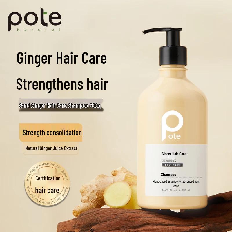 Baiting Professional Ginger Shampoo