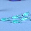 5Pcs Shark Figurines Moss Micro Bonsai Garden Landscape Ornaments DIY Desk Decor
