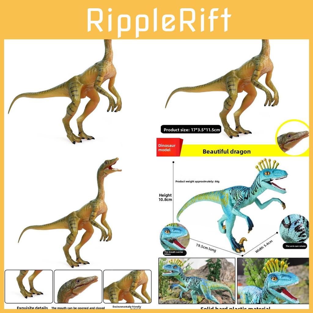 Compsognathus And Eoraptor Lunensis Dinosaur Animal Model With Articulated Features For Educational Display And Collection