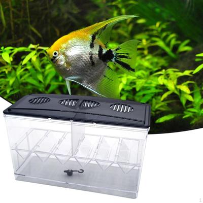 Isolation Box with Divider Sturdy Easy To Clean Clear Detachable Hatchery Incubator Aquarium Breeder
