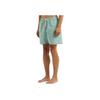 Polo Ralph Lauren SS24 Logo Embroidered Striped Elastic Waist Beach Shorts Men Shorts Green 710905990-004