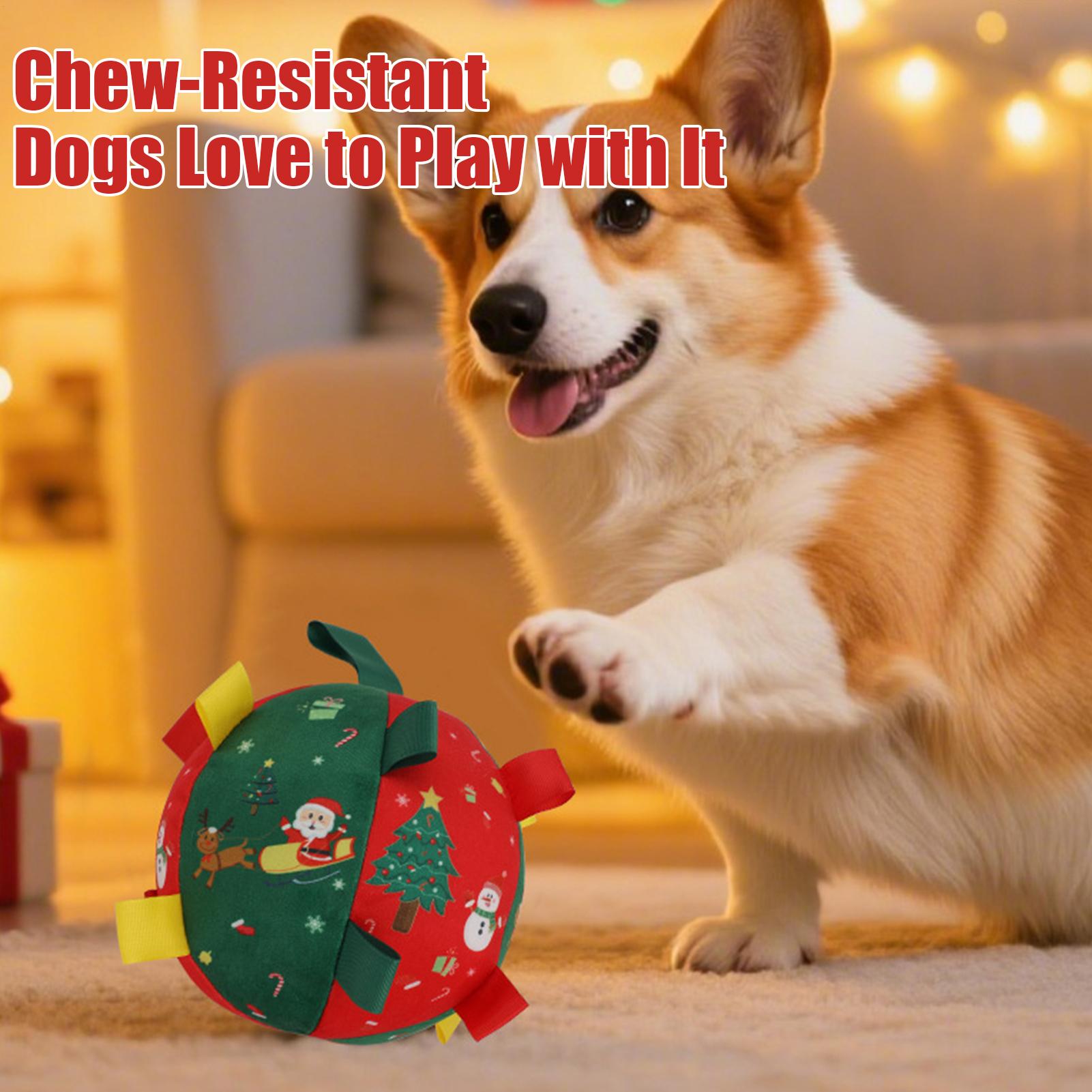 Inflatable Dog Squeaky Ball Outdoor Christmas Interactive Dogs Toys Squeaky Pet Dogs Training Toy For Dogs Teething China Mainland
