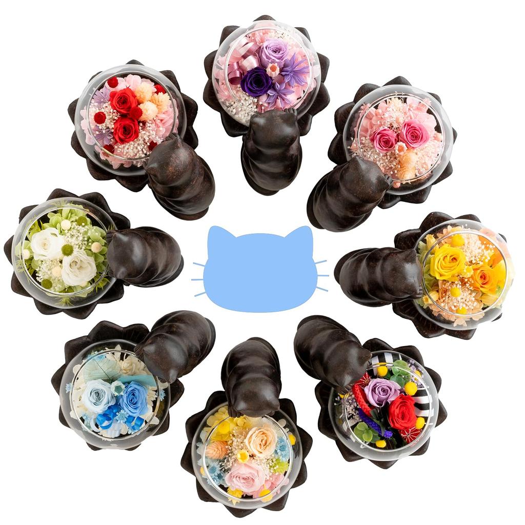 Utihana Rosa Preservada Gato Perfecto para y Otras Ocasiones Especiales Flores de Gato, Motivo, Cumpleaños, Jubilaciones, (Azul, Amante)