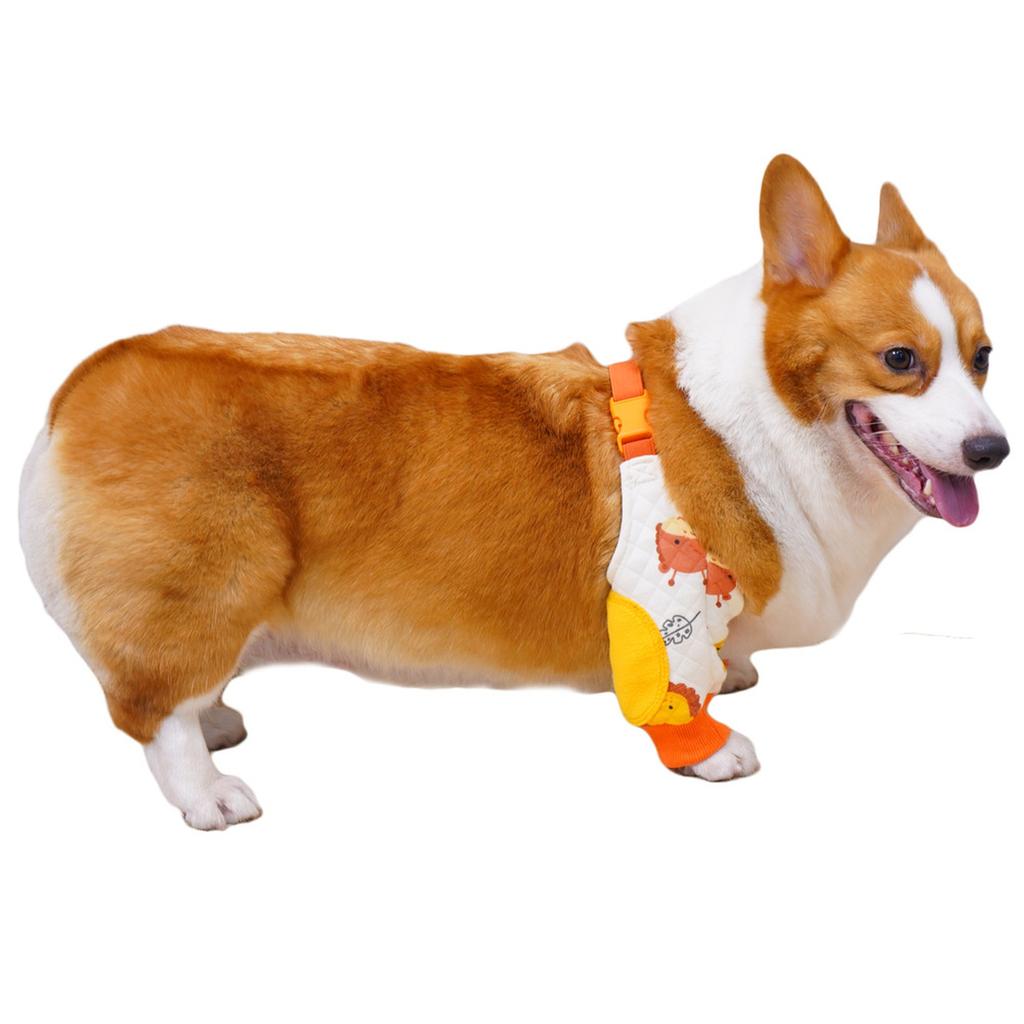 Dog Elbow Protector: Cotton Front Leg Joint Sleeve for Corgi – 4- Use