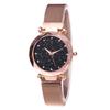 Ladies' Top Brand Star Watch Mesh Magnet Starry Sky Quartz Watch Ladies Magnet Strap Watch Round Dial Magnet Strap Buckle Watch