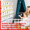 Alphabet & Number Line Bulletin Board Set, 12 PCS ABC & 123 Wall Decorations 26 Upper & Lower Case Letters Plus Numbers 0-10 for Preschool,