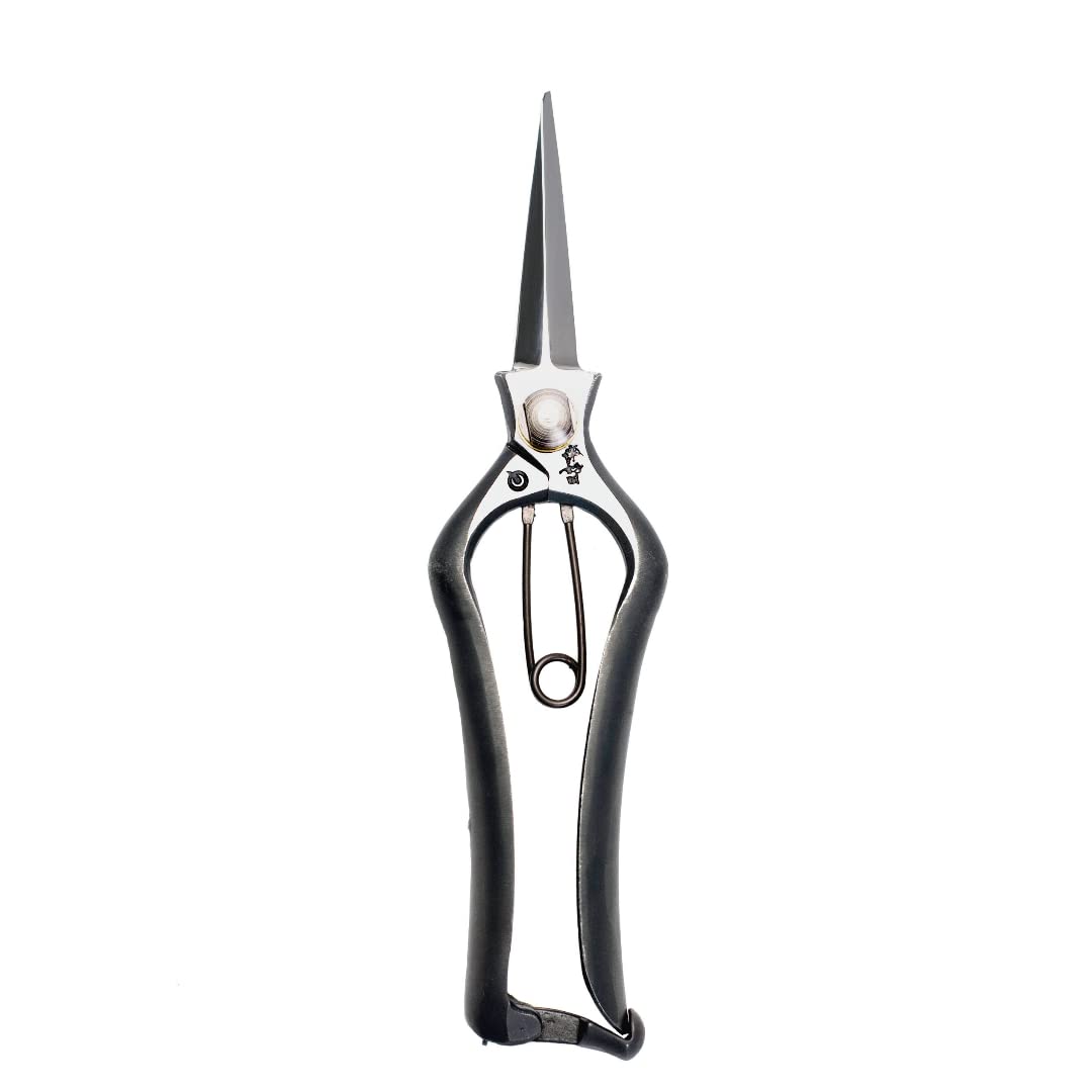 

SUWADA Pruning Bud Scissors Length Carbon Steel in (Total Approx. 200mm) [Made Japan]