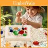 Archäologie-Spielzeug für Kinder mit DIY-Edelstein-Fossilien-Ausgrabung Schatzsuche-Aktivität für Jungen und Mädchen