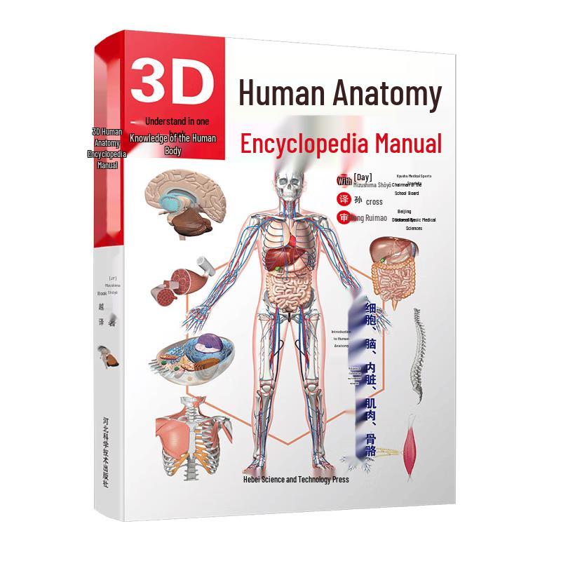 3D Human Anatomy Illustrated Guide
