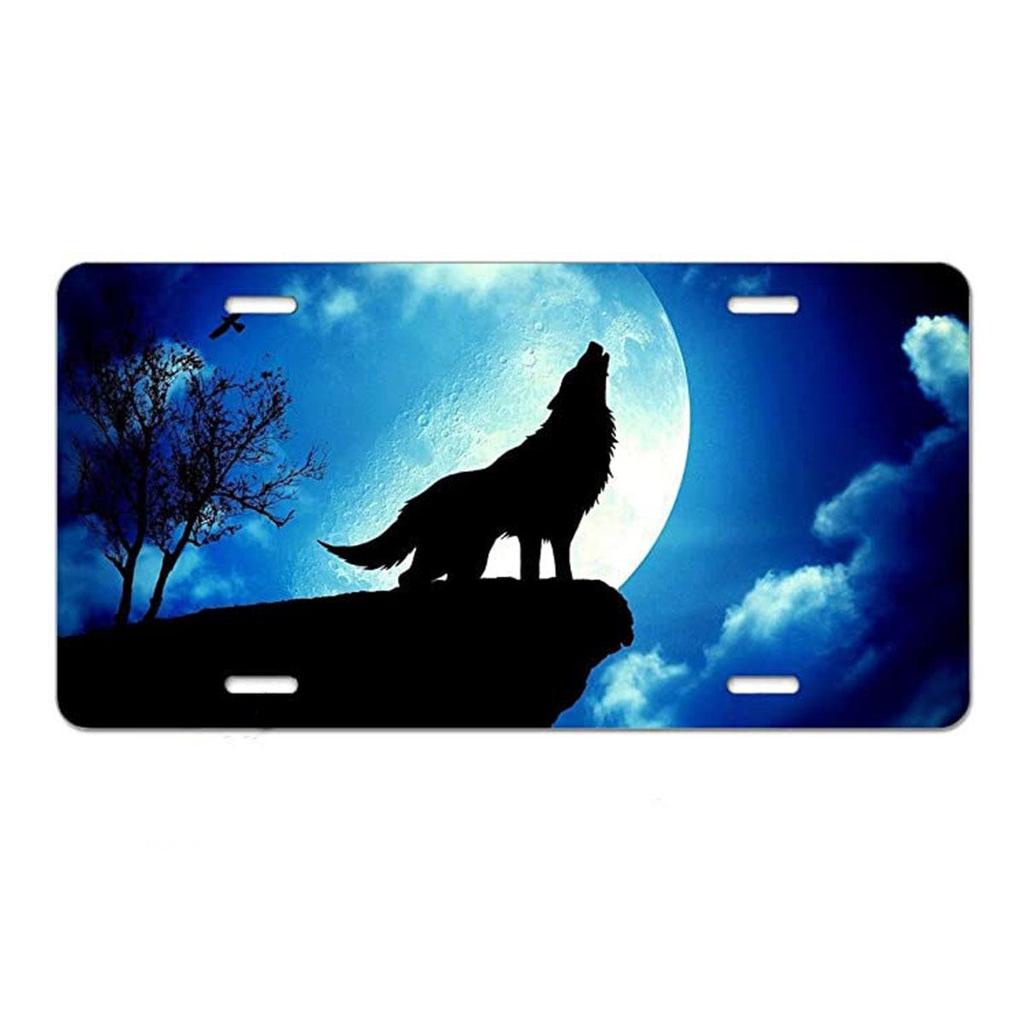 Sublimation Printed US Standard License Plate Metal Sign, 12x6 Inches, Hot-Selling Design