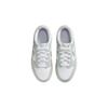 Nike Leather Dunk Low Comfortable Fashionable Versatile Low-Top Kids Sneakers Kids Sneakers Silver White FB9108-124