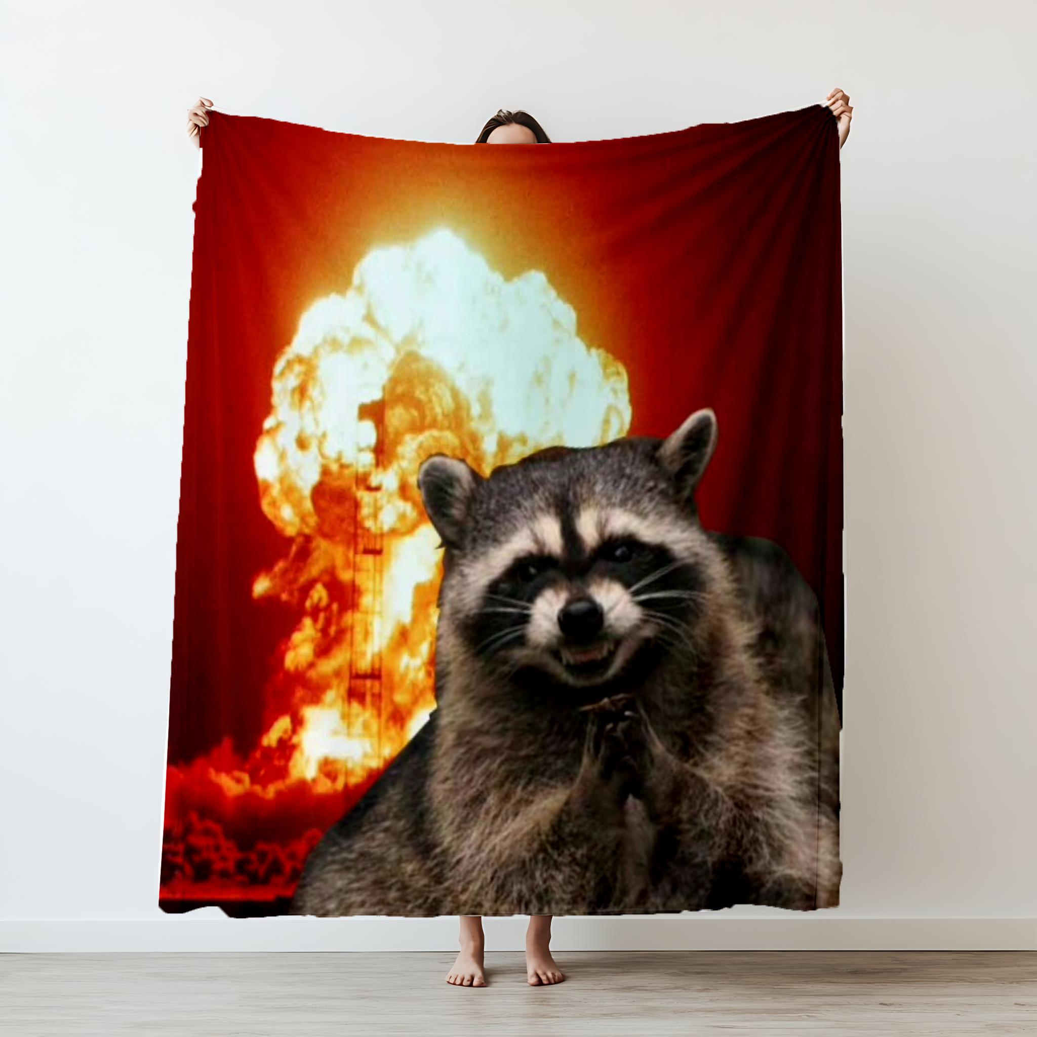 

Creative Cute Animal Raccoon Thin Printed blanket Camping Throw Bed Sofa Office Air Conditioning Soft Leisure Blankets 75x90cm