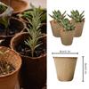 20/50Pcs 6cm Environmental Protection Garden Round Peat Pots Plant Seedling Starters Cups Nursery Herb Seed Tray Planting Tools