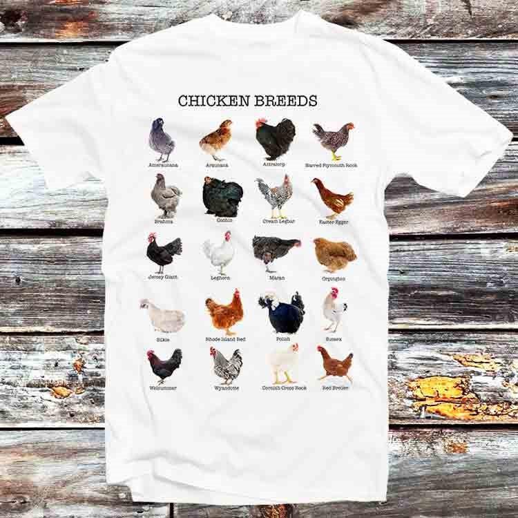 

Chickens List Cute Chicken Animal T Shirt B1009 3XL