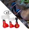 5 Pieces Automatic Chicken Cups Bowls Feeder Plastic Watering for Hen Poultry Supplies Pigeon