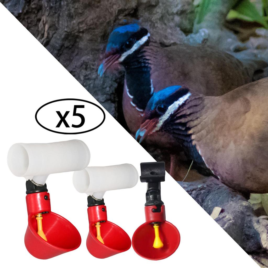 5 Pieces Automatic Chicken Cups Bowls Feeder Plastic Watering for Hen Poultry Supplies Pigeon