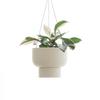 Hanging Plant Pot (155mm) with Adjustable Height for Easy Drainage of Water, Sand Beige, S508BE