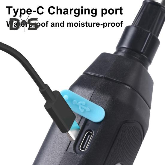 5L/8L Trädgård Elektrisk Spruta Ryggsäcksspruta med Axelrem Teleskopiskt Sprutrör 2 Munstycken Batteridriven Spruta för Gräsmatta Gårdsskötsel