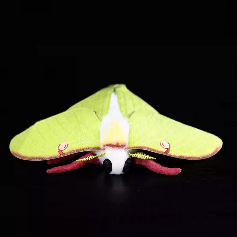 Plyšové hračky Luna Moth Vynikající plyšová hračka můry Realistické simulované panenky hmyzu Simulace hmyzu Dárek k narozeninám pro chlapce a dívku