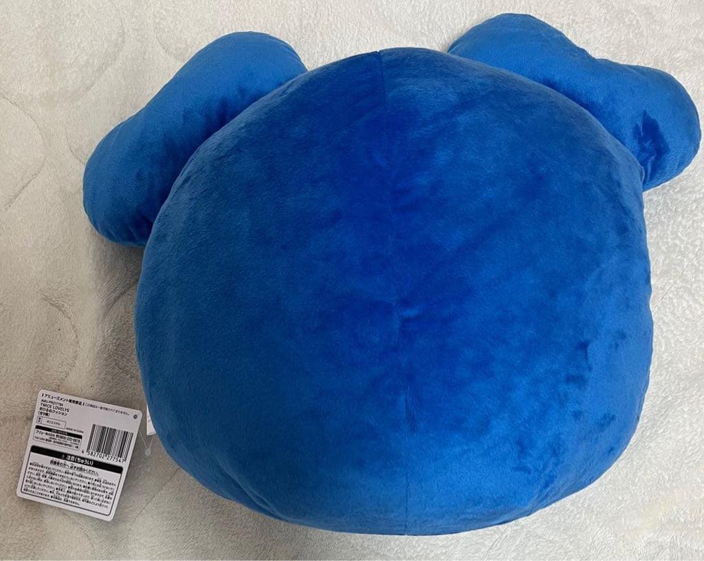 [USED] Ships Within 12 Hours! *TWICE Nap Cushion GiGO