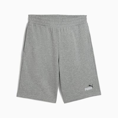 Puma ESS 2 COLOR NO.1 LOGO 10" TR Men's Shorts Gray 68471503 R M