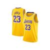 LeBron James Basketball Jersey Tops