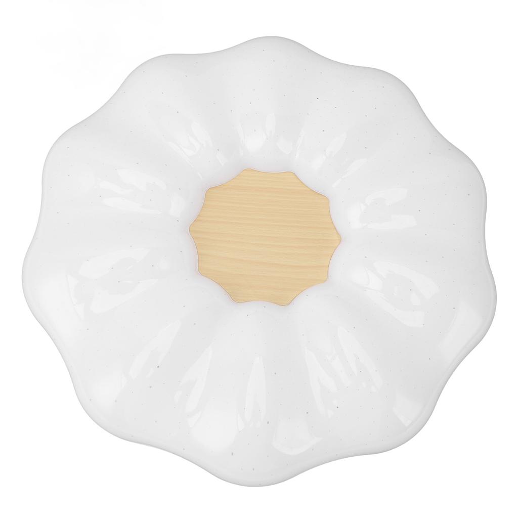 Flush Mount Ceiling Light Modern Ceiling Lamp 3 Color Temperature Dimmable Remote Control for