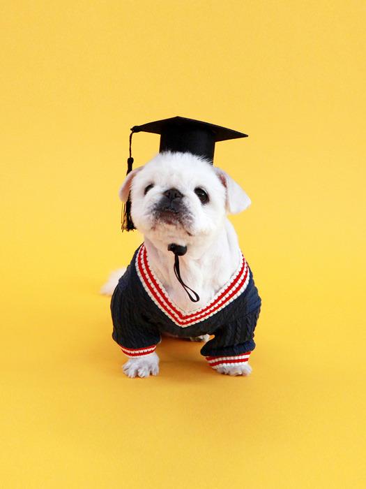 

KINIKINI KINI TWISTED LOGO V NECK TSHIRT-NAVY (V-neck short-sleeved T-shirt) XXL