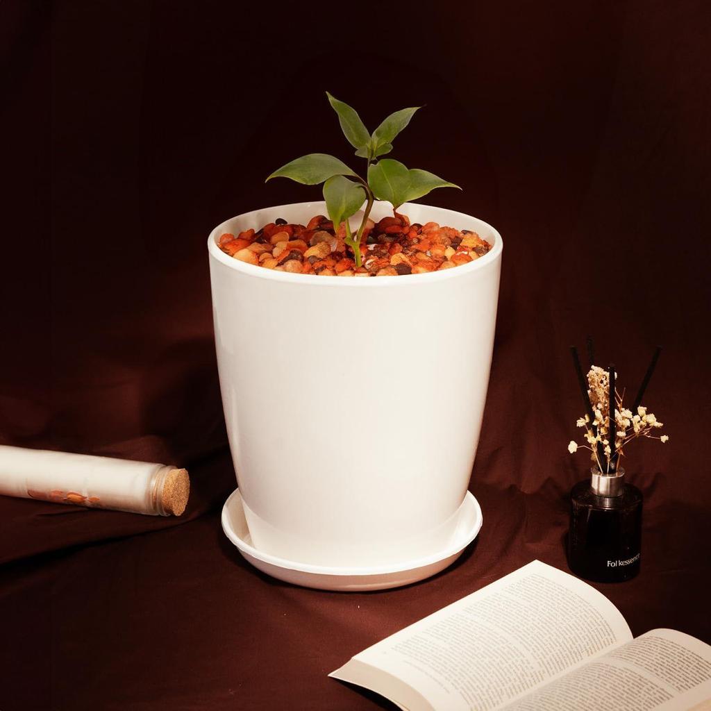 Blossom 12 Inch Solid White Flower Pot| Lightweight & Durable for Indoor/Outdoor | for Big Size Plants/Flower | Flower Pot for Living Room