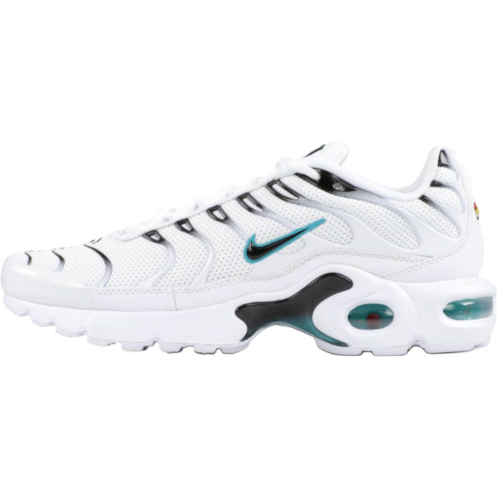 Nike Air Max Plus Bg 'Dusty Cactus' AO9340-100