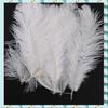 A71P 20 Pieces White Natural Ostrich Feather 20-25Cm Wedding DIY
