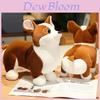 Niedliches Plüsch Corgi Hundespielzeug Weiches und knuddeliges Stofftier für Kinder und Haustiere Braun und Weiß 23cm