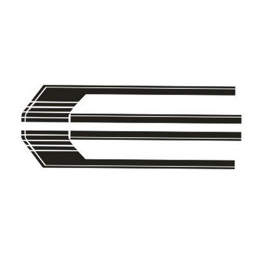 Ford F-150 Raptor Body Side Skirt Decals